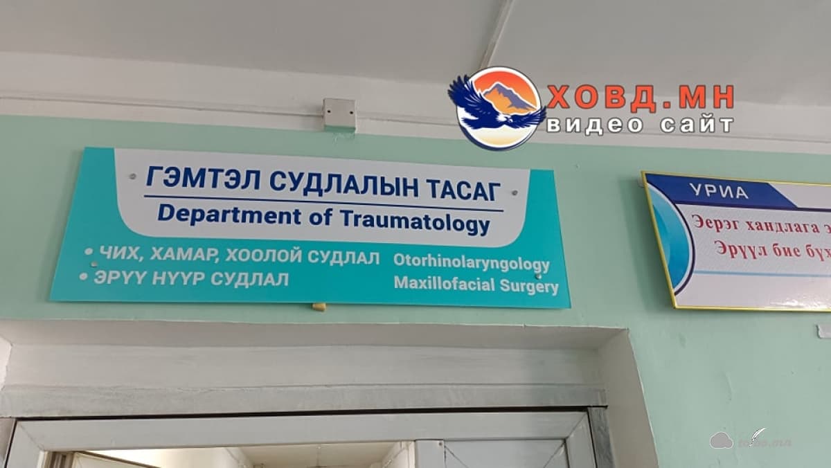 Цэцэрлэгийн цонхоор унасан 4 настай охин БОЭТ-ийн гэмтлийн тасагт хүргэгджээ