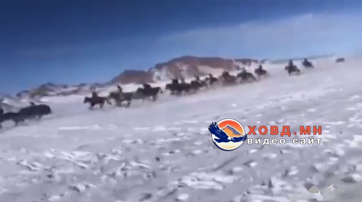 Уяачдад тооцох хариуцлага бий юу?