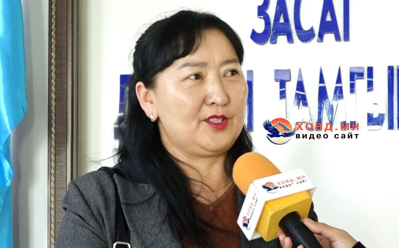 н.Цогзолмаа: Энэ төсөл явах ёстой, ёсгүй гэдгийг би хэлэх боломжгүй.