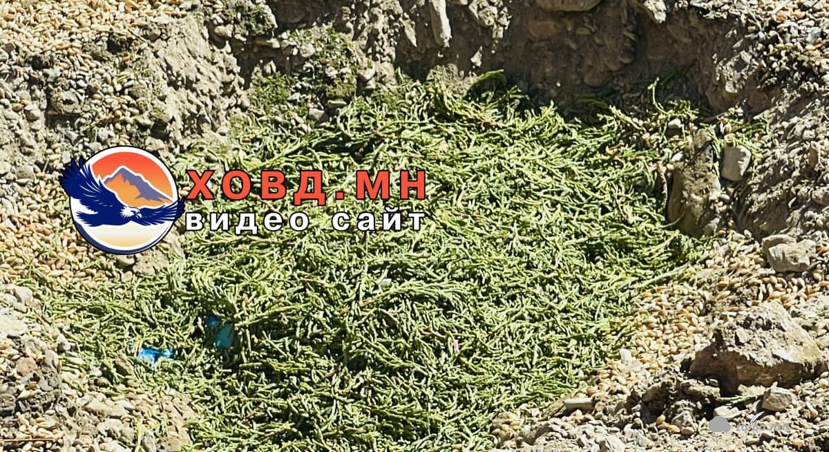 Л.Муушарын өргөөний шав тавих ёслол боллоо