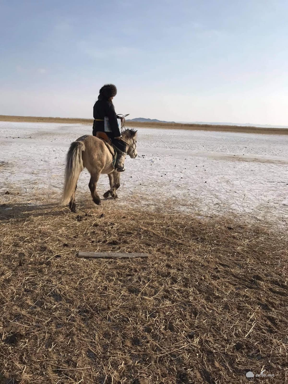 1,5 тэрбумын төсөвт өртөгтэй “Чоно харайх”-ын гүүр энэ онд ашиглалтанд орно