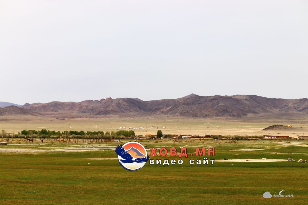 Буянт голын ай сав дагуу зусланд жилд дунджаар 800-1250 гаруй айл өрх зусланд гардаг байна.