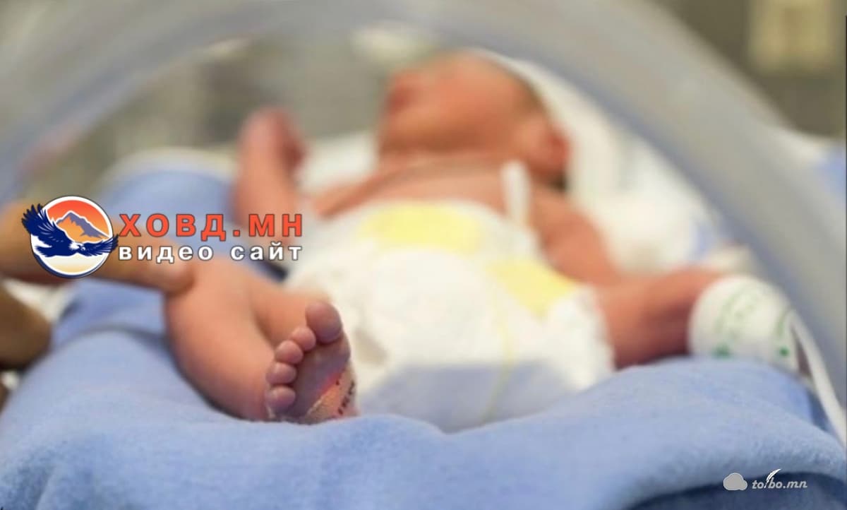 Зээ охиноо малын тэжээлээр дарж амь насыг нь хөнөөсөн Ц-д 15 жилийн хорих ял оноолоо.