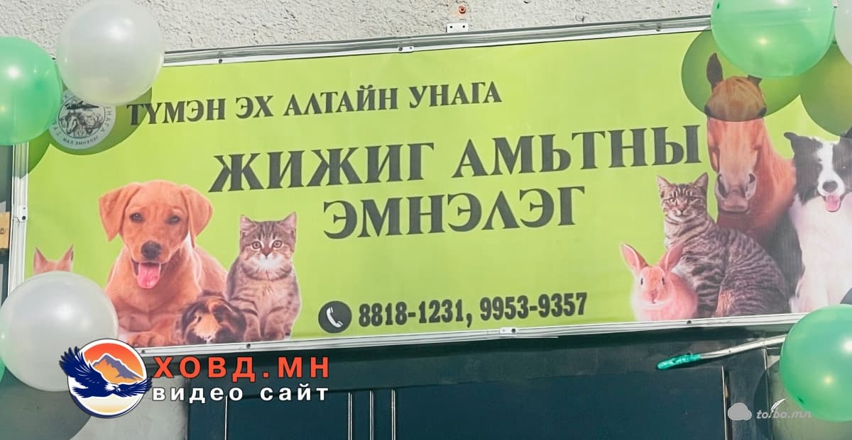 Ховд аймагт жижиг амьтны эмнэлэг үүд хаалгаа нээлээ.