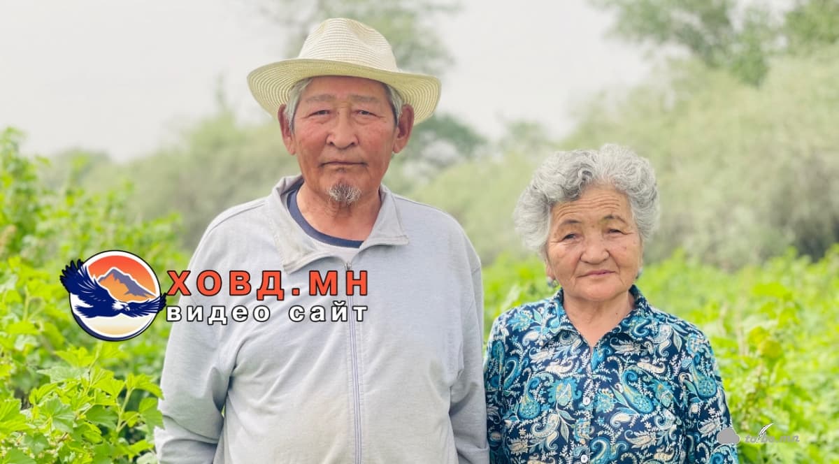 МУ-ын аварга тариаланч С.Бааст гуайнх нутгийн иргэдээ эко жимс жимсгэнээр хангана ажиллаж байна