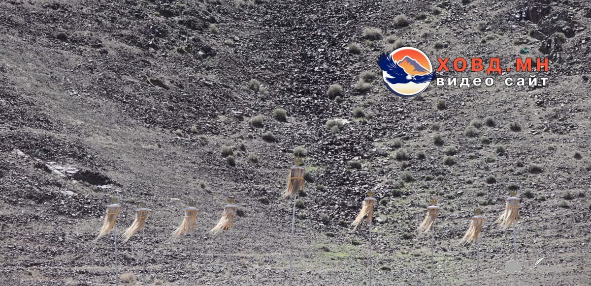 Булганчууд “Буурлын хар” ууландаа төрийнхөө есөн хөлт цагаан тугийг залжээ.